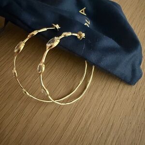 Elegant Gold Hoop Earrings